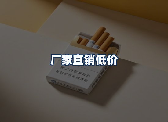 专业团队办公环境